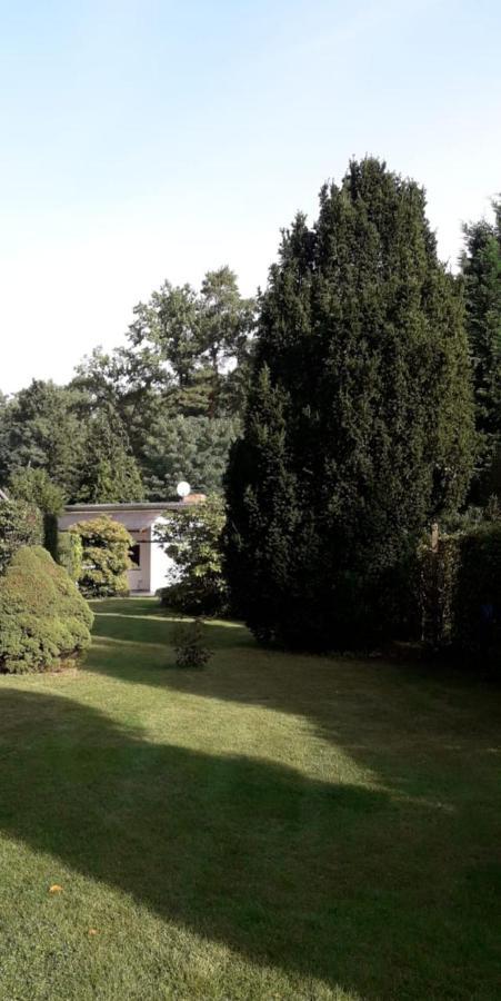Ferienhaus Am Langen See III Heidesee Buitenkant foto